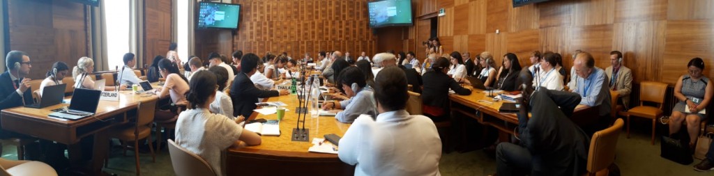 side event climate change 26.06.19 12